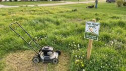 Why you really shouldn’t mow your lawn in April
